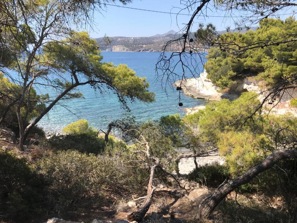 Vana Kavos Apartamento Agia Marina  Exterior foto