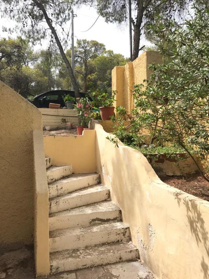 Vana Kavos Apartamento Agia Marina  Exterior foto